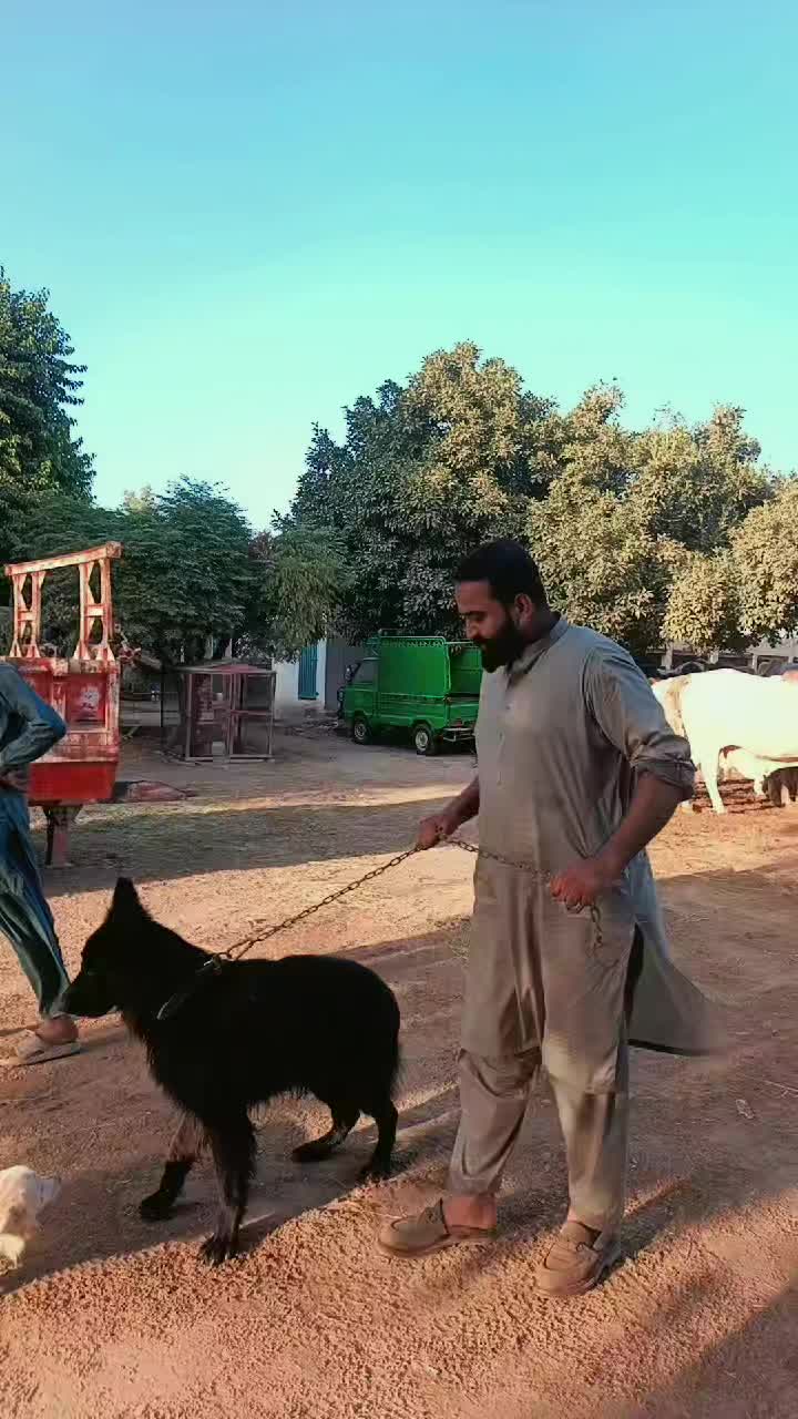 @DRALI 🇸🇦