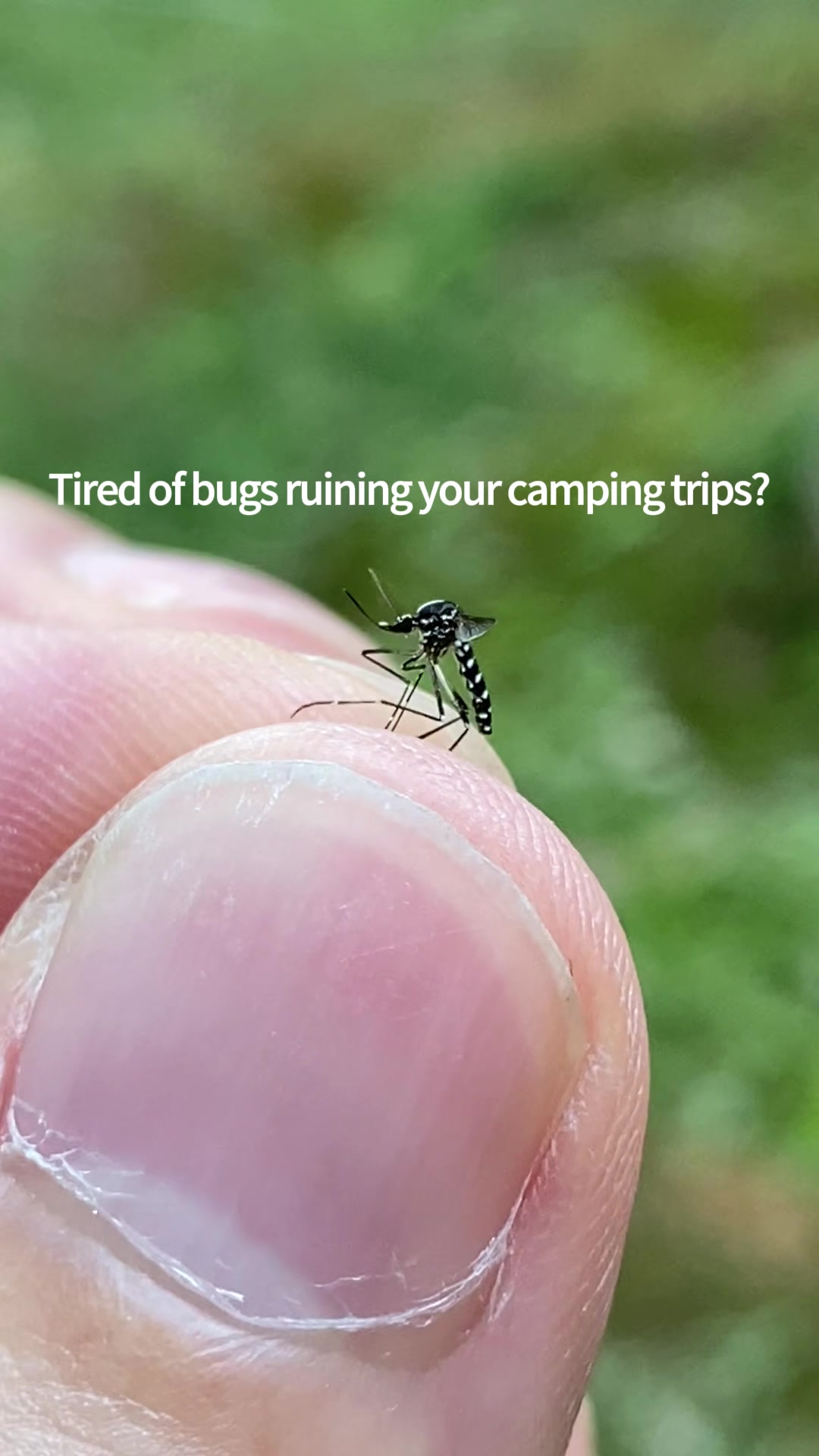 @OutdoorBugZapperStore