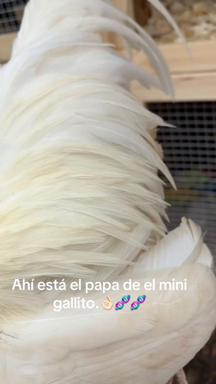 @FARMING.MM56