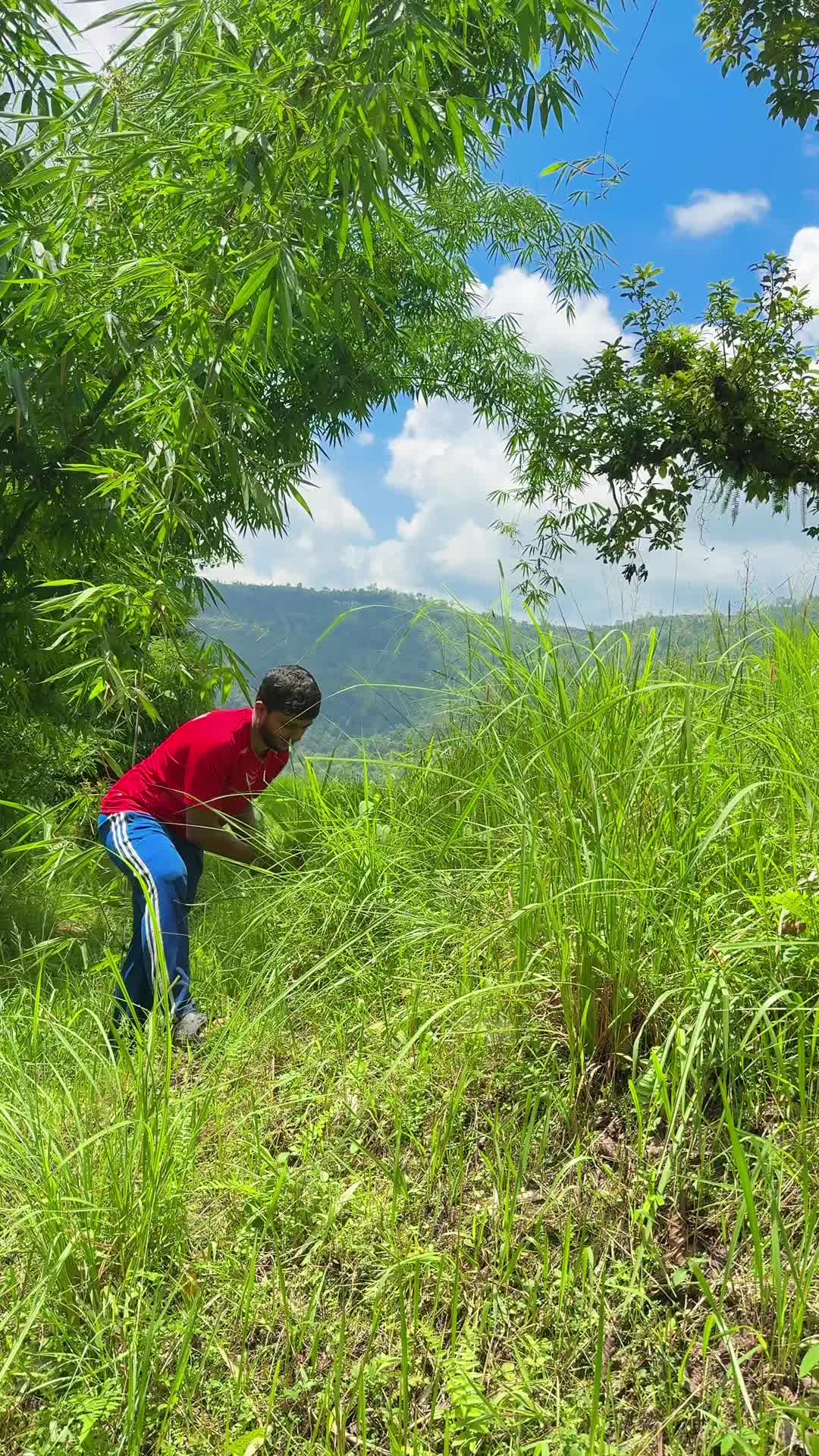 @रायन