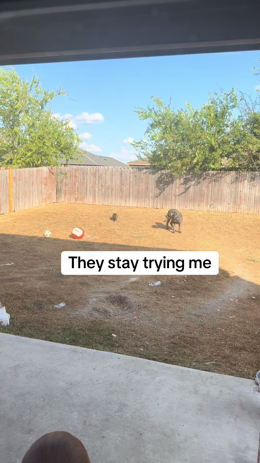 @ms.getrightorgetleft