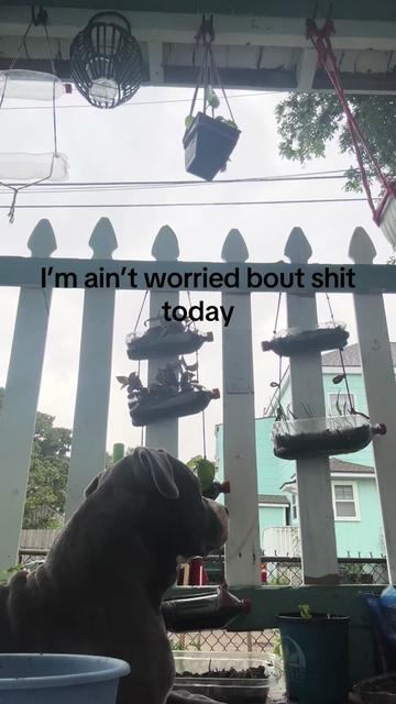 @Bianca🖤