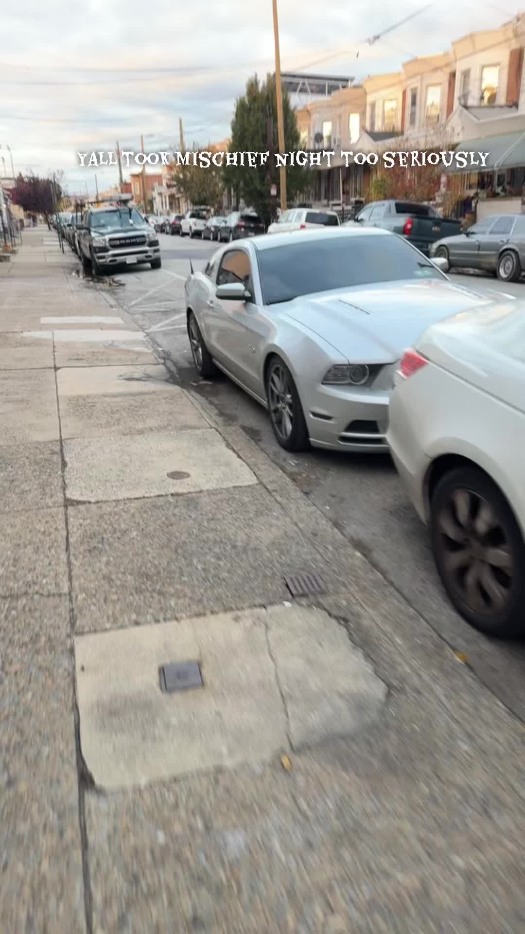 @5.0stock
