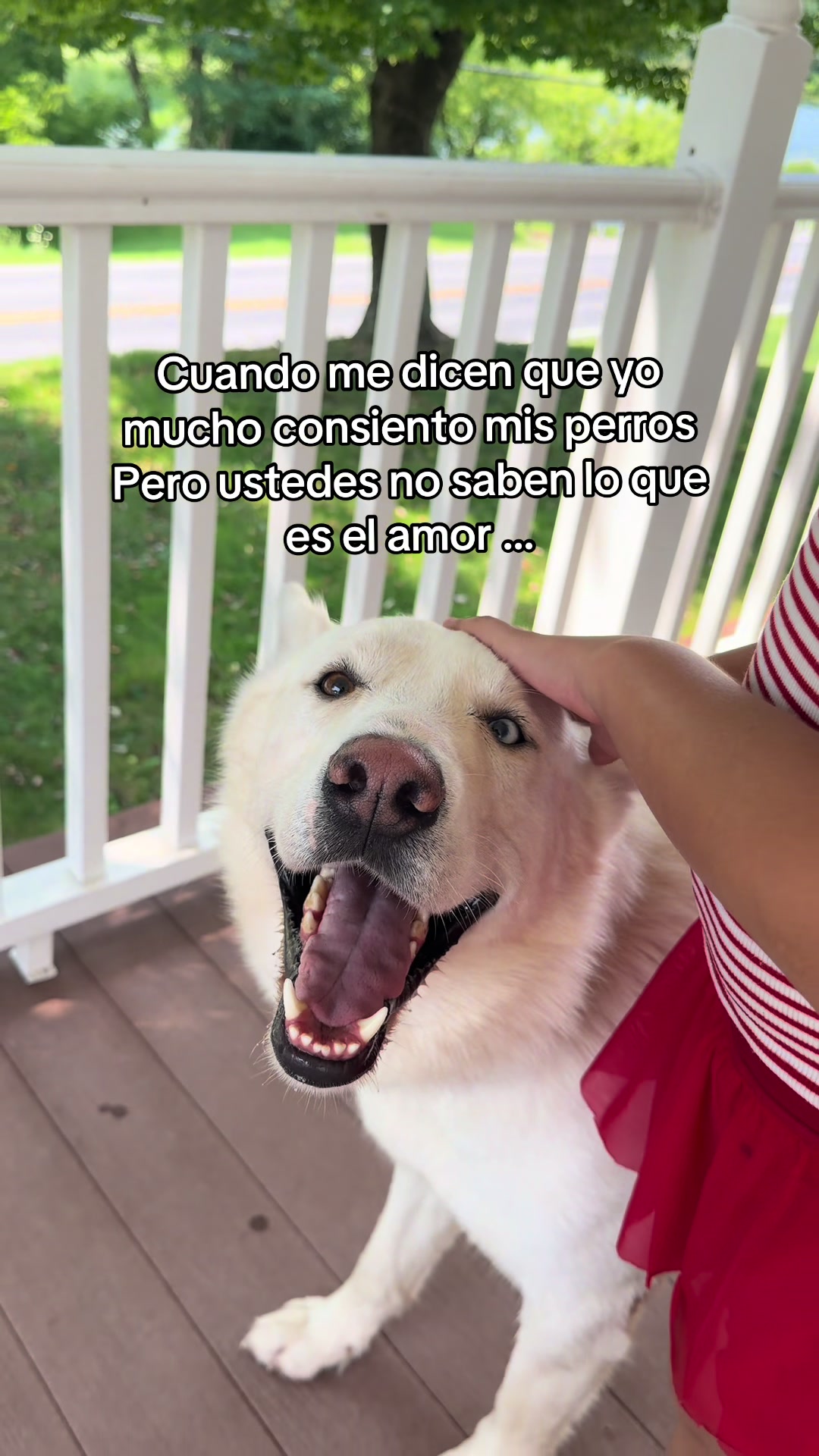@Vanessa Mendoza