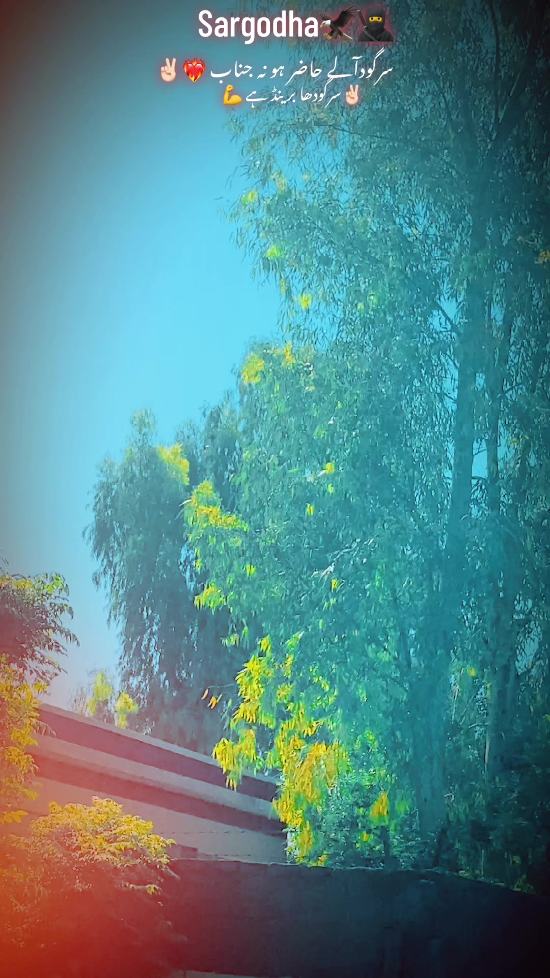 @☠️🦁𓆩512𓆪 لجپال گروپ 🦅🖐️