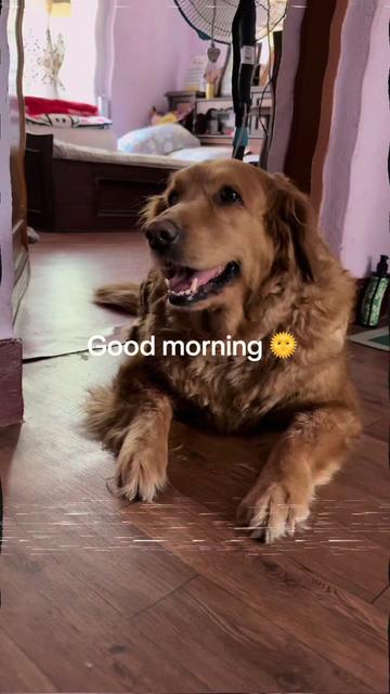 @Rushma Khadka🧿🧿🧿