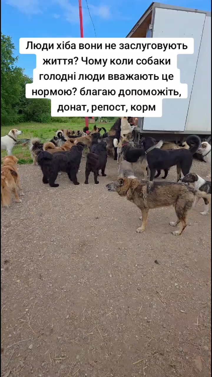 @tvarinkidobra