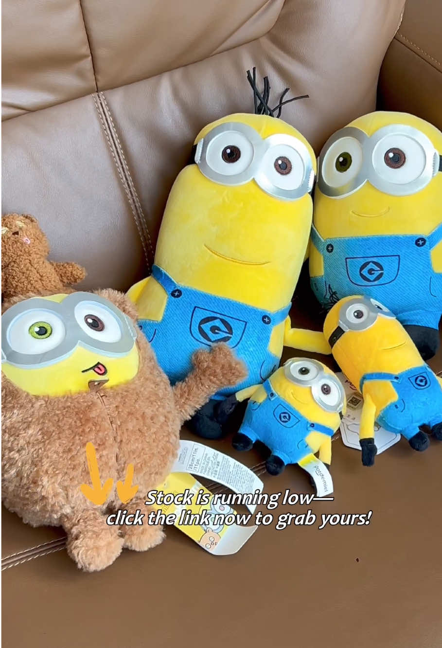 @lilysky