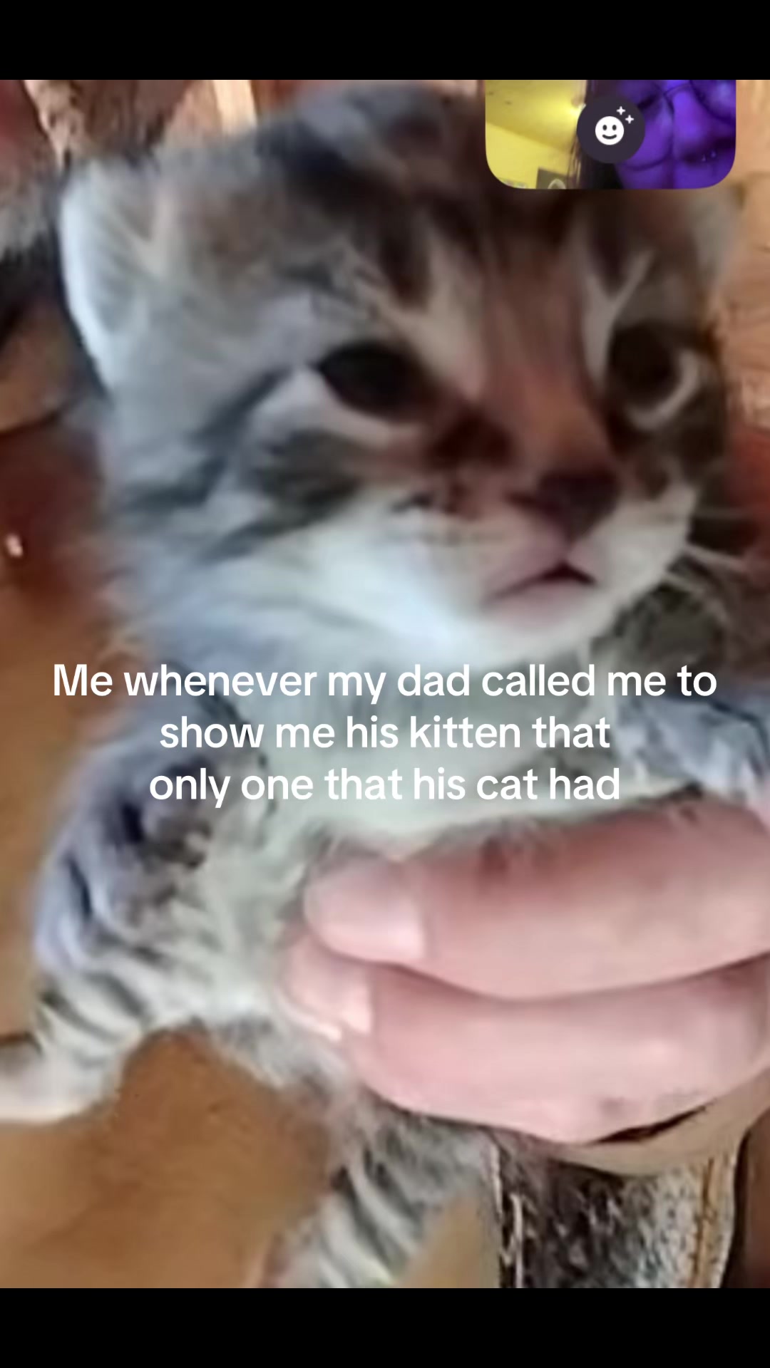 @meganfeltner