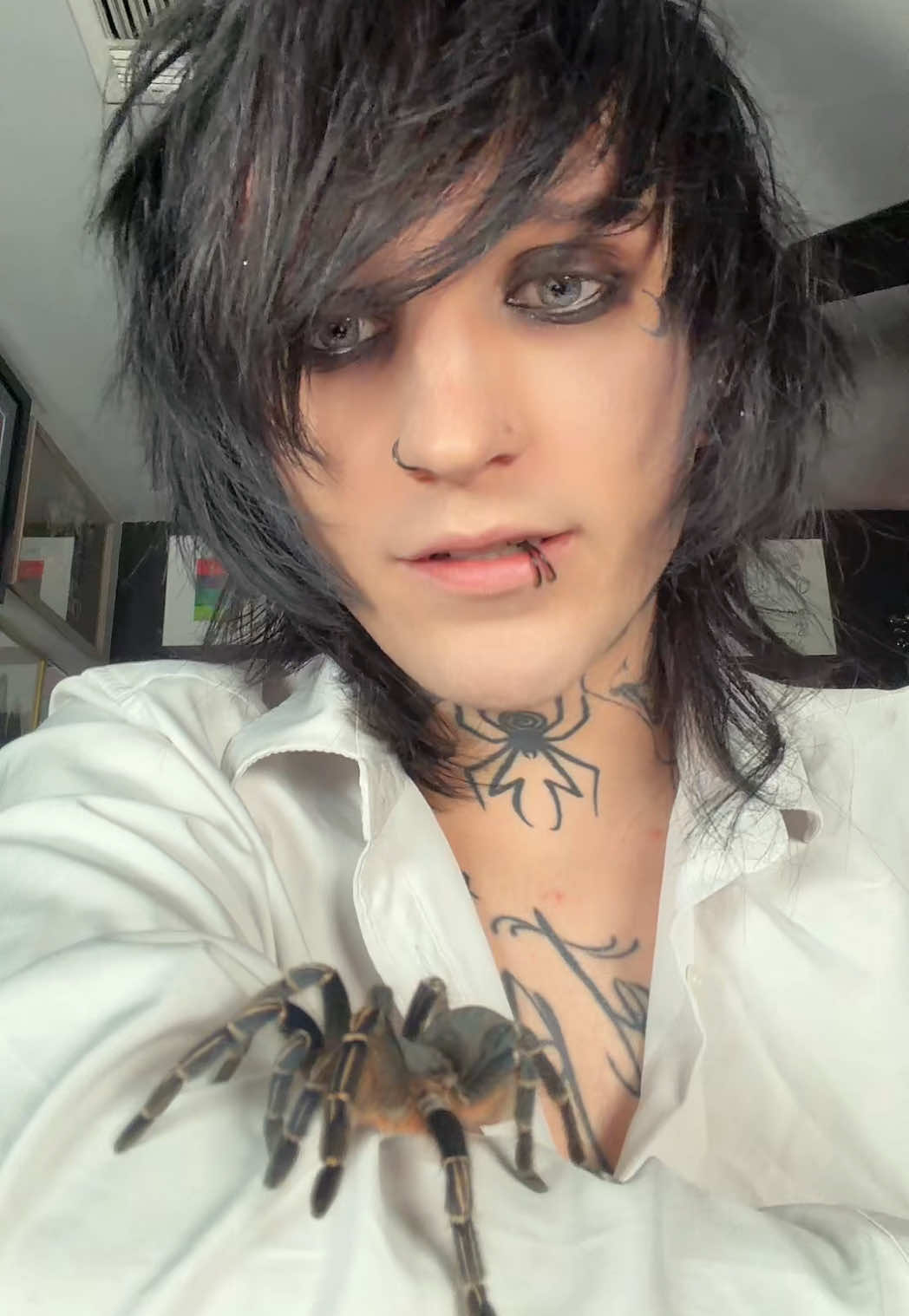 @Johnnie Guilbert