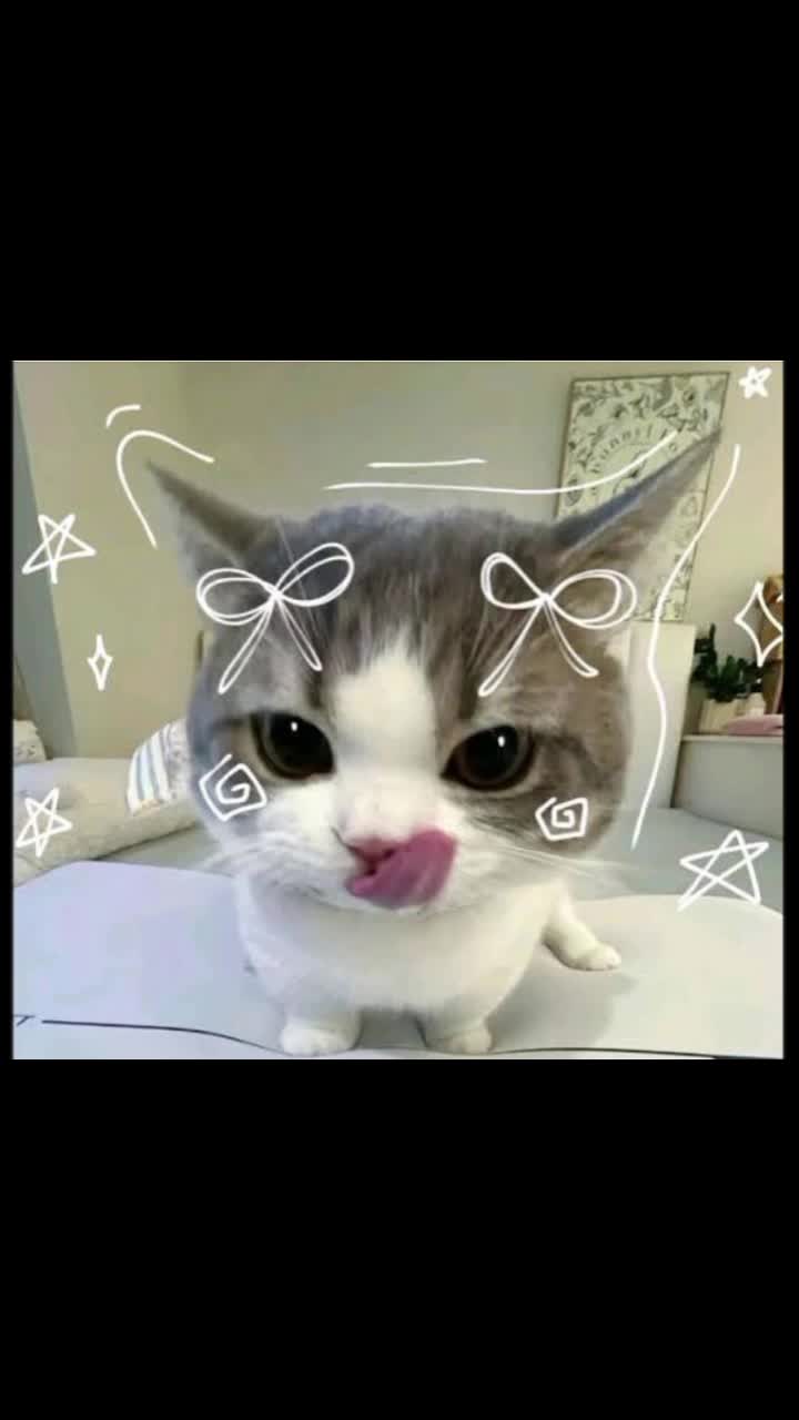 @SL33PY