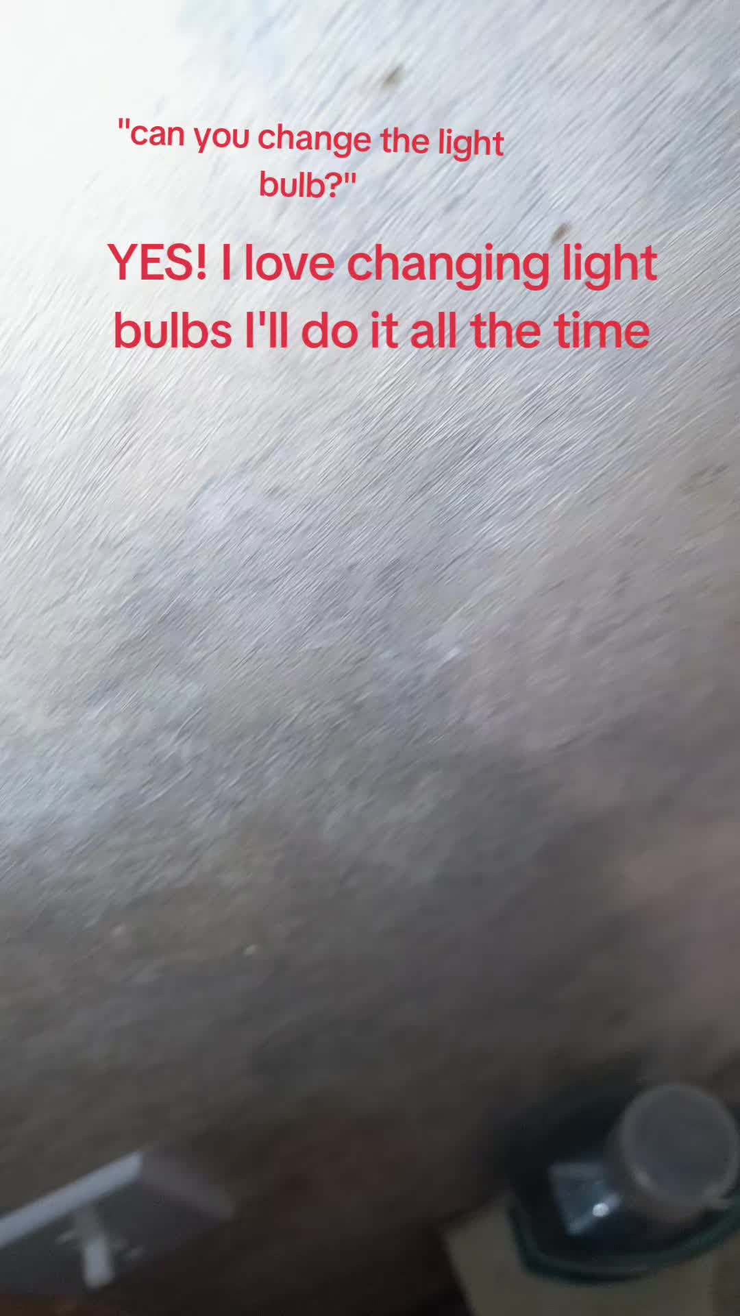 @BriBri
