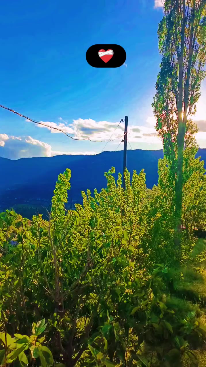 @H&uuml;seyin _t&uuml;fekli 🦅