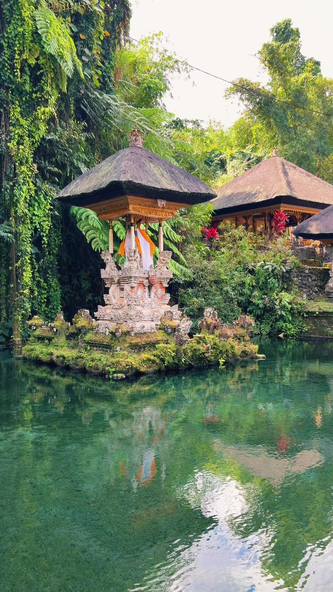 @Ubud Area Tours