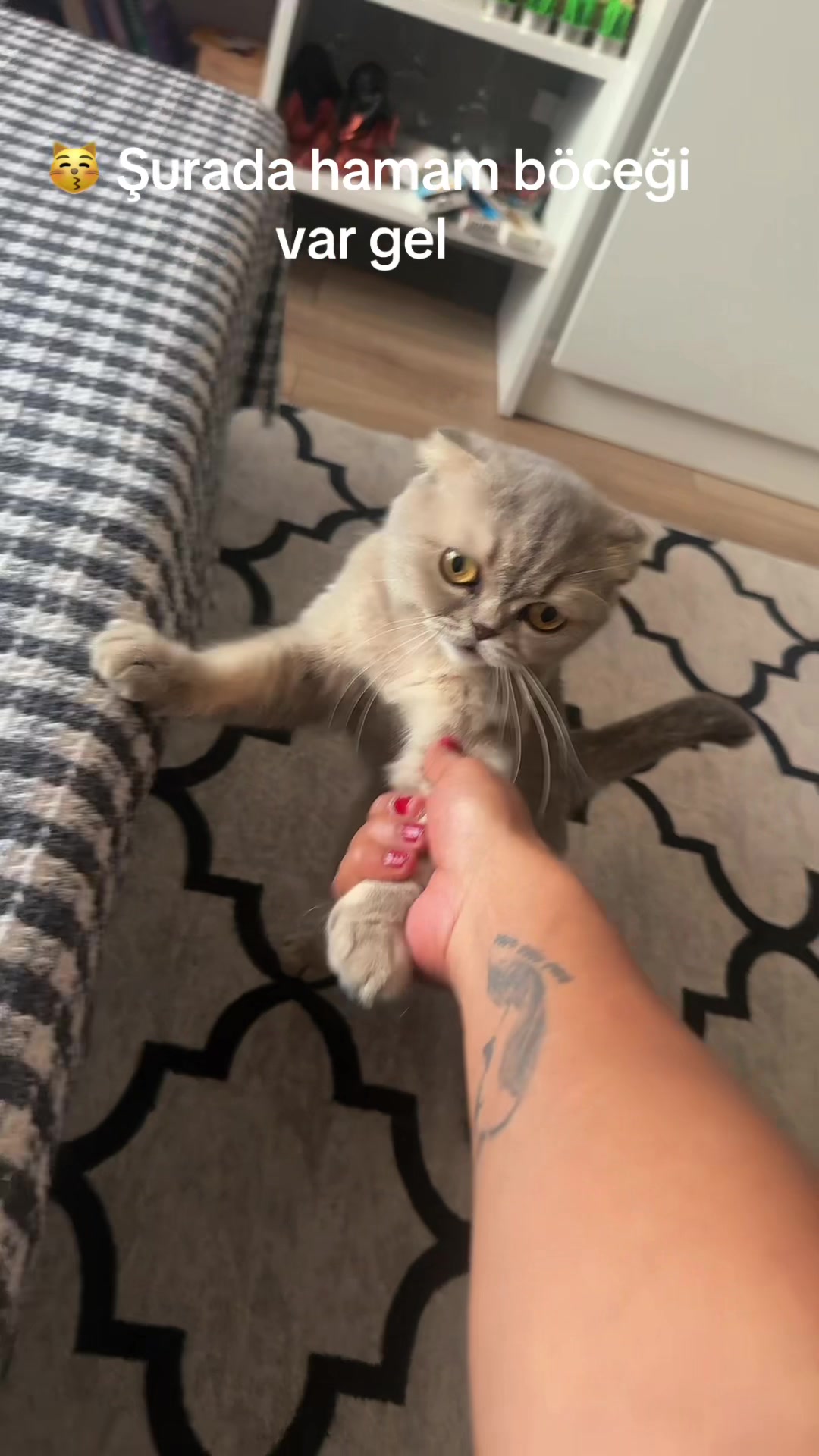 @Damla Akdeniz