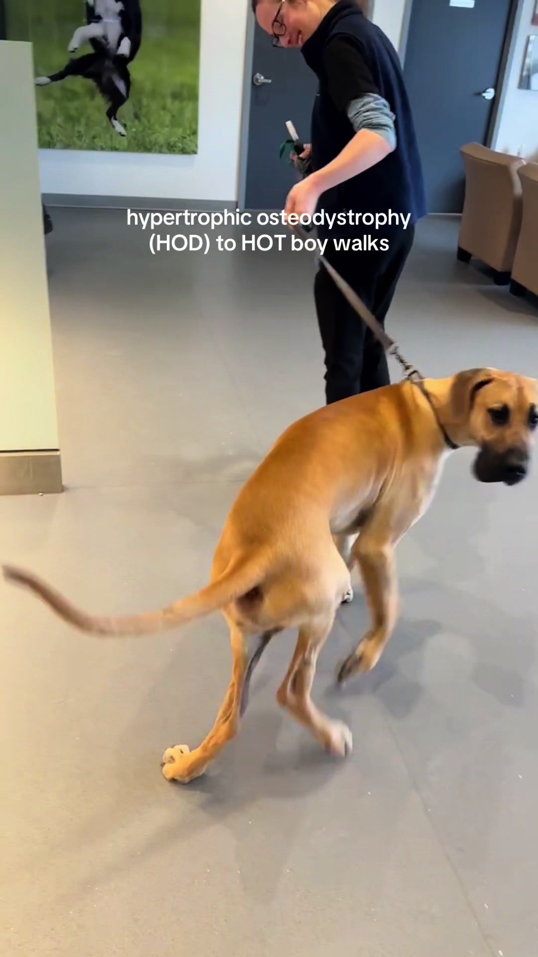 @Roman the Great Dane