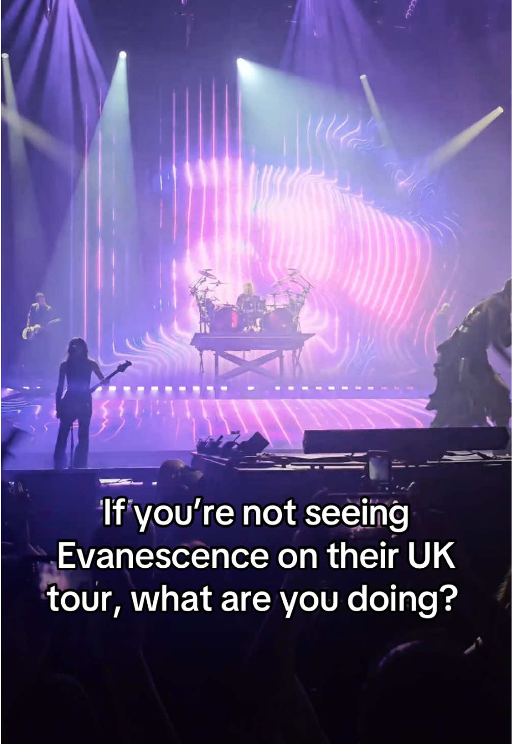 @live fan account