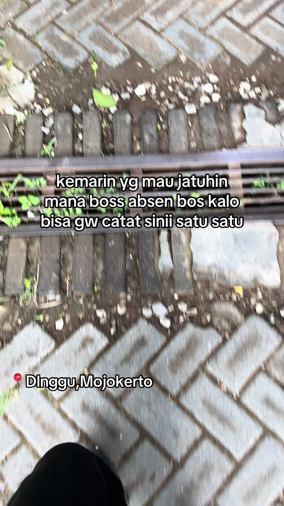 @bosyupienew