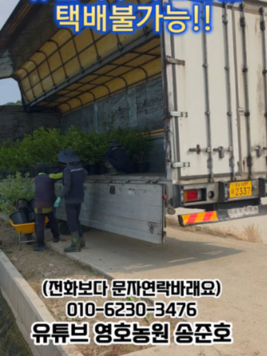 @농업회사법인 영호(주)