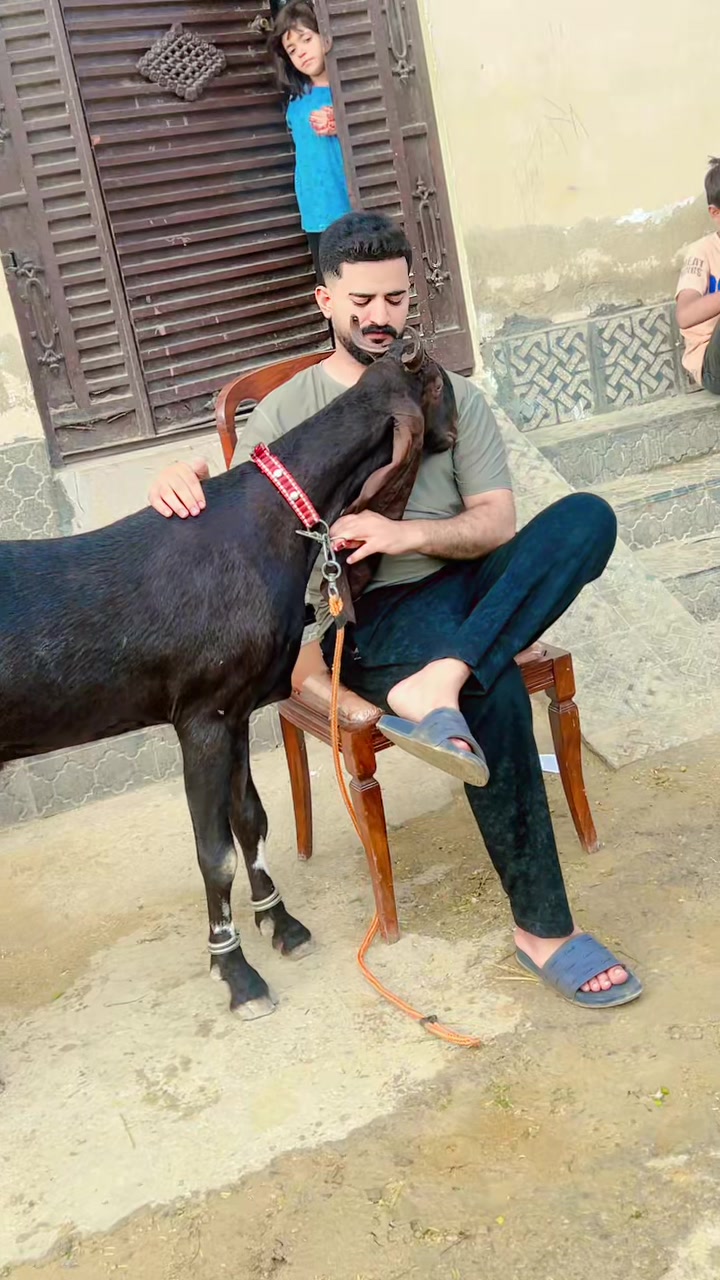 @chudhary Saab 💪💓
