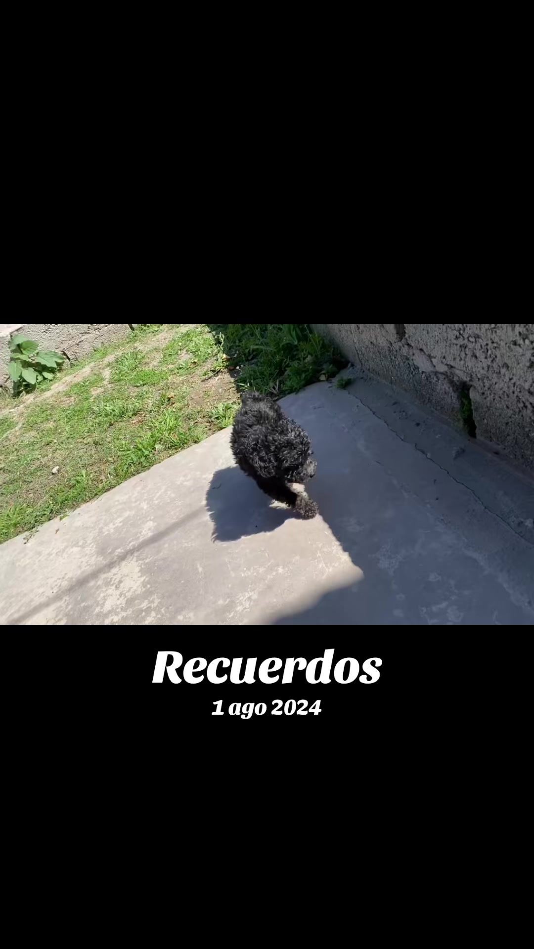 @Ludmila Robles