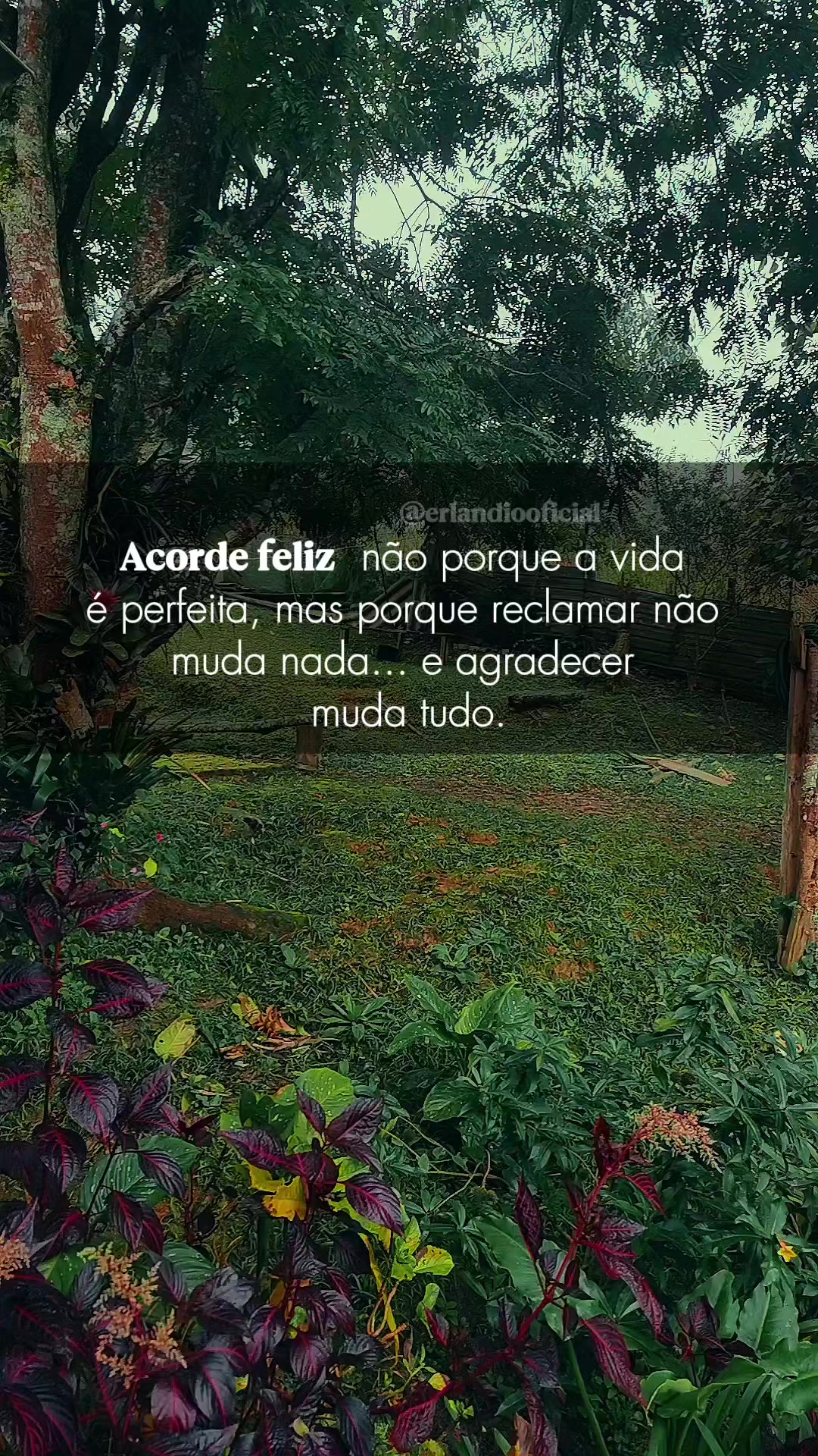 @Isael Rodrigues