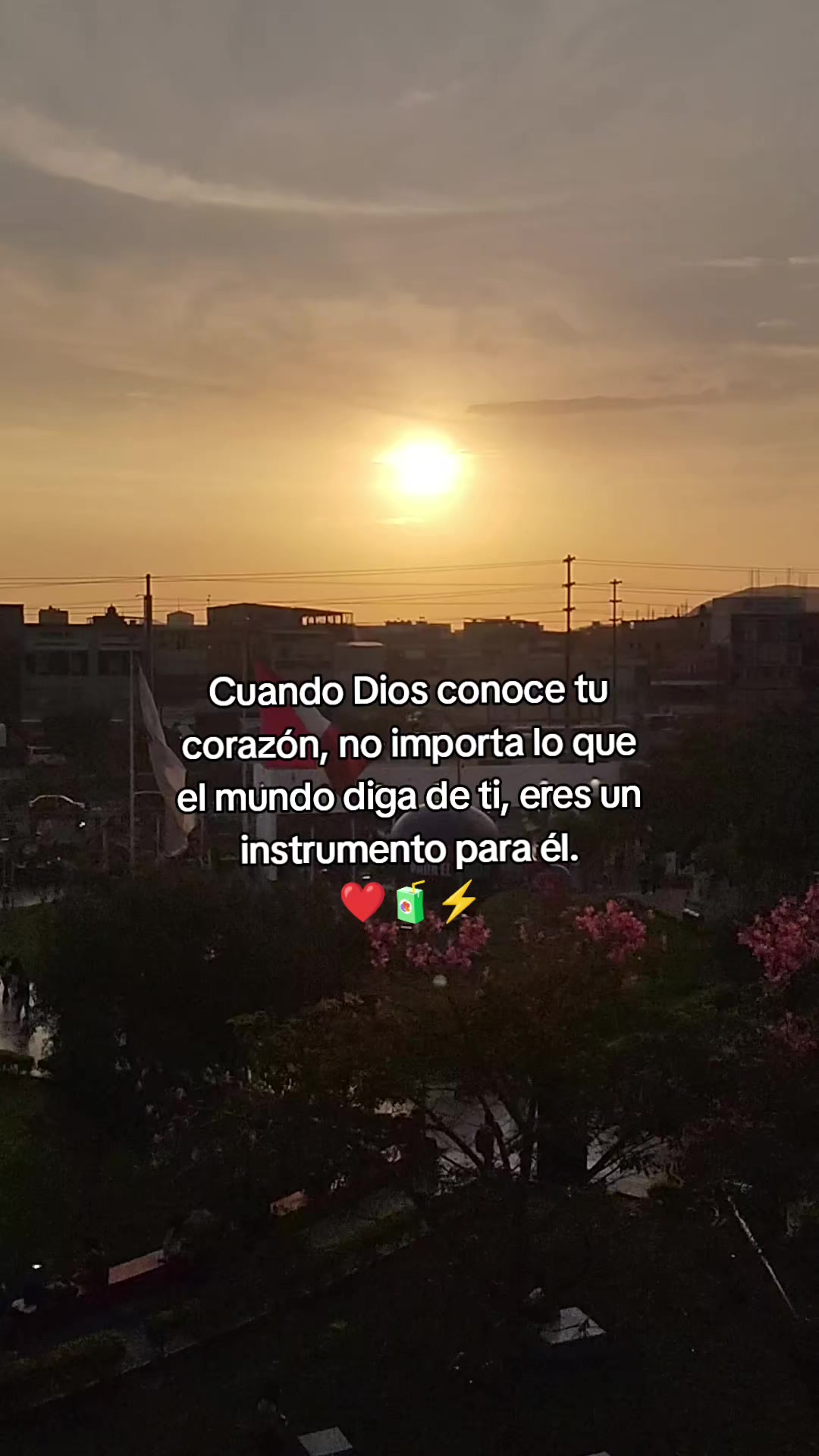 @DISNEY 🇵🇪🧃