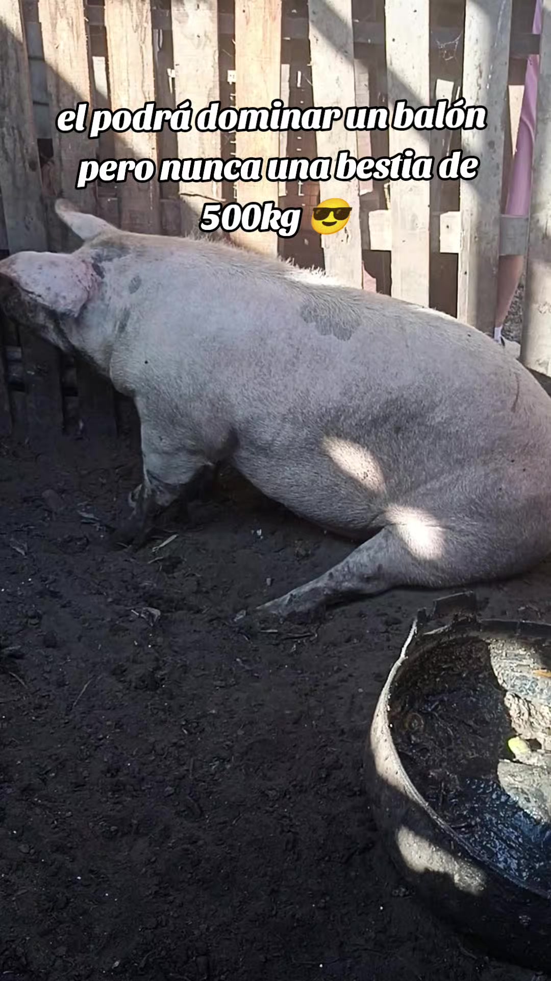 @BRAYAN .R. 🐷