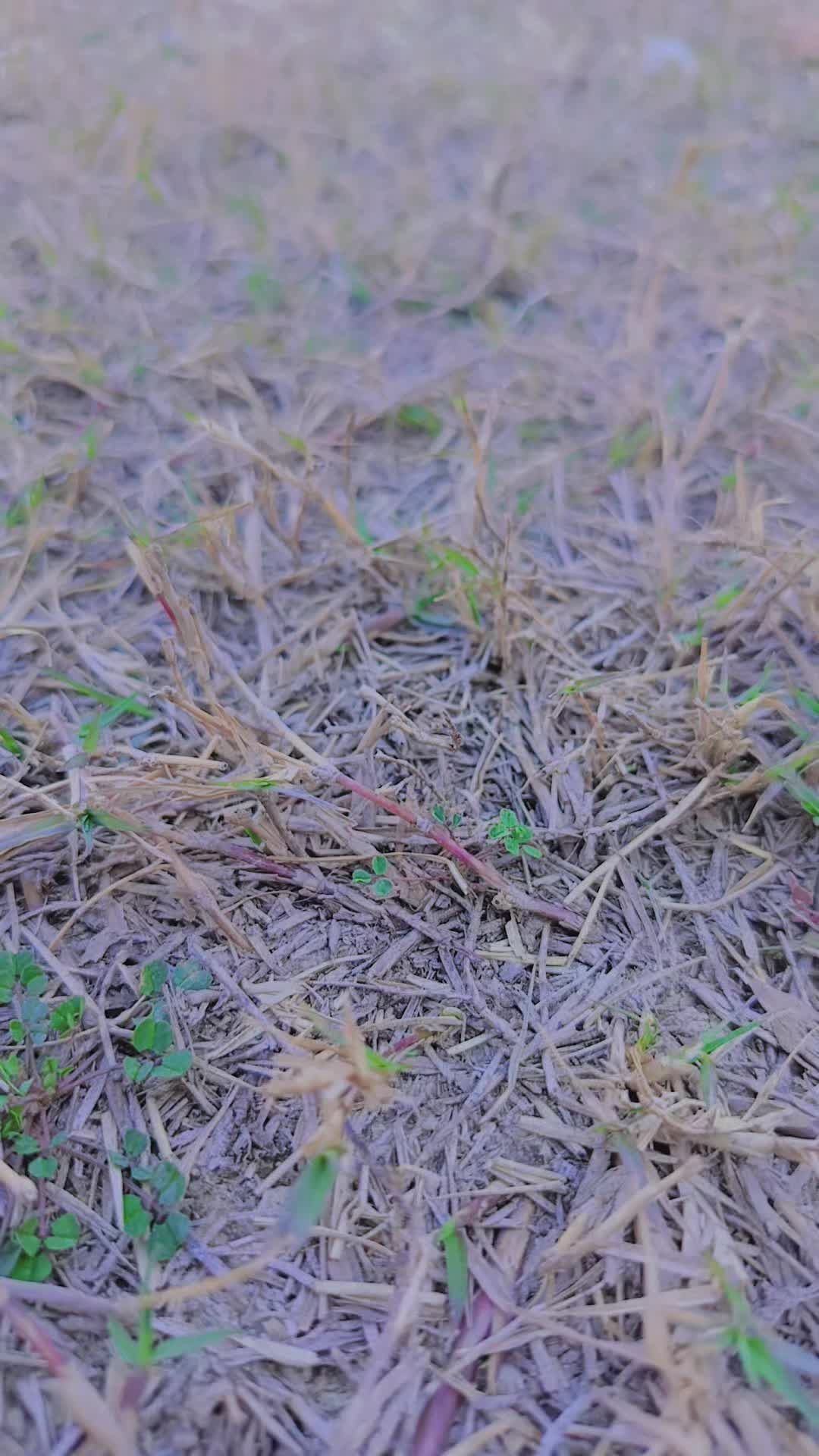 @A𓆩♡𓆪 R❤️