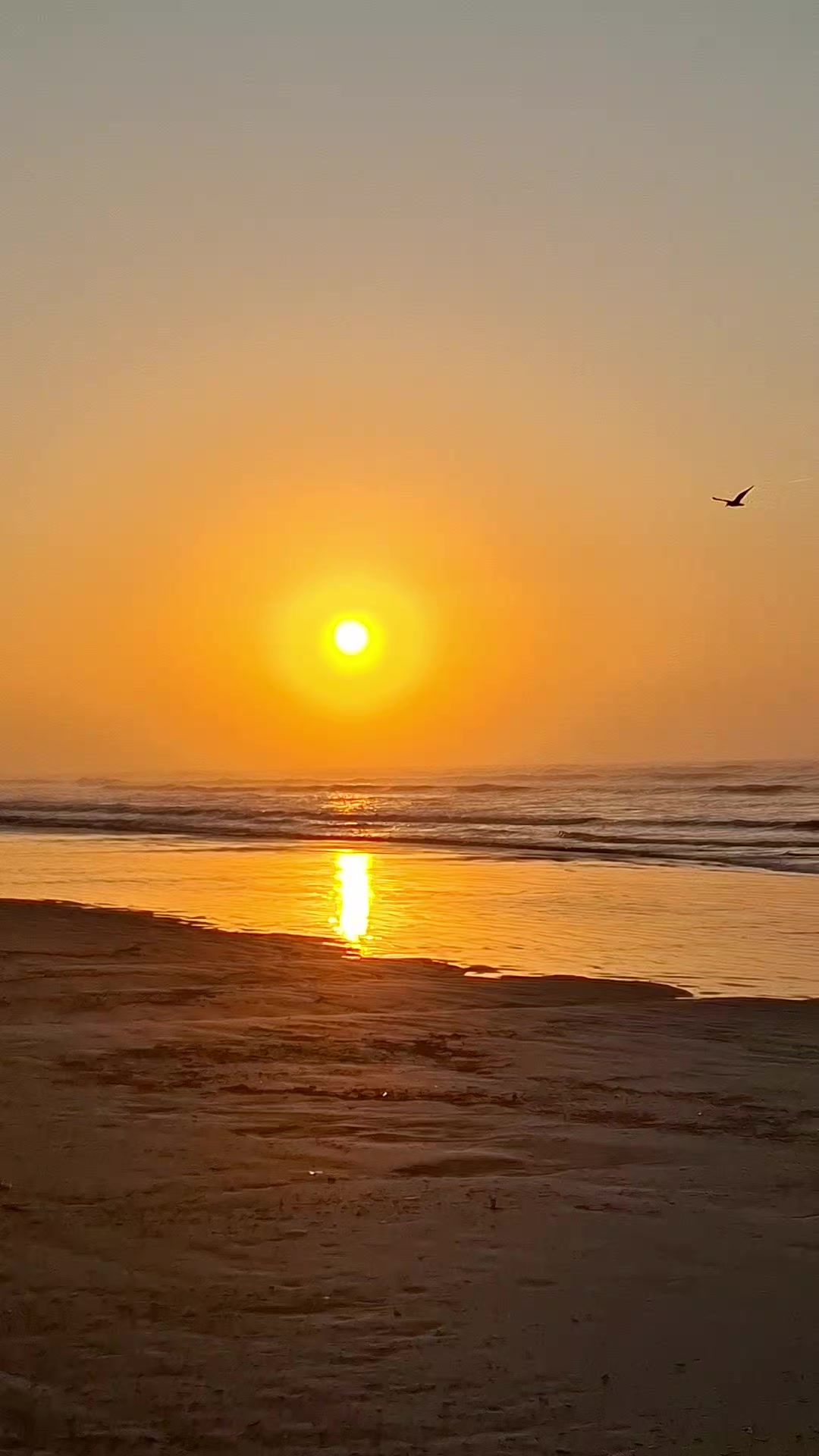 @Ivaldo Medeiros