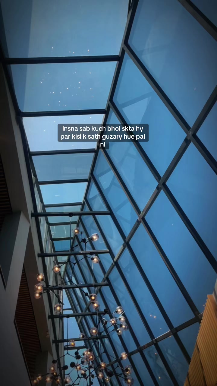 @🕊️