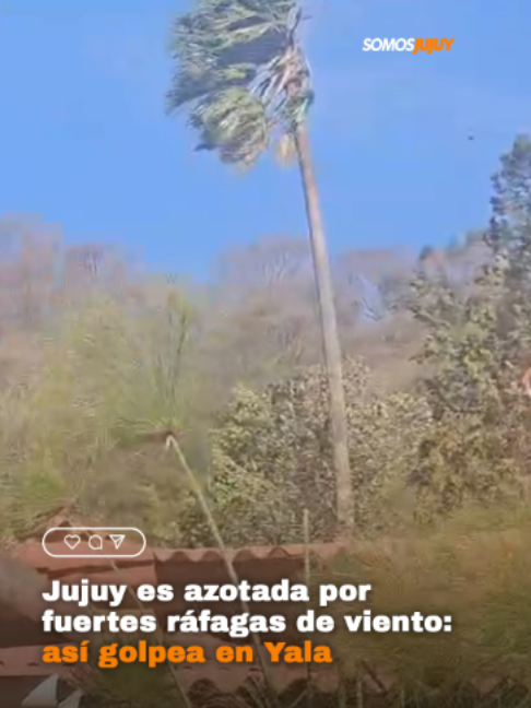@Somos Jujuy