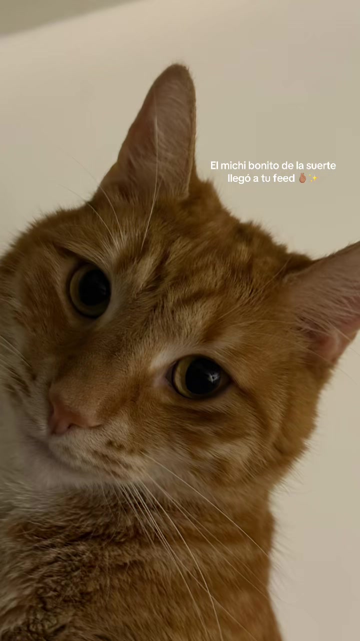@Magaly SD