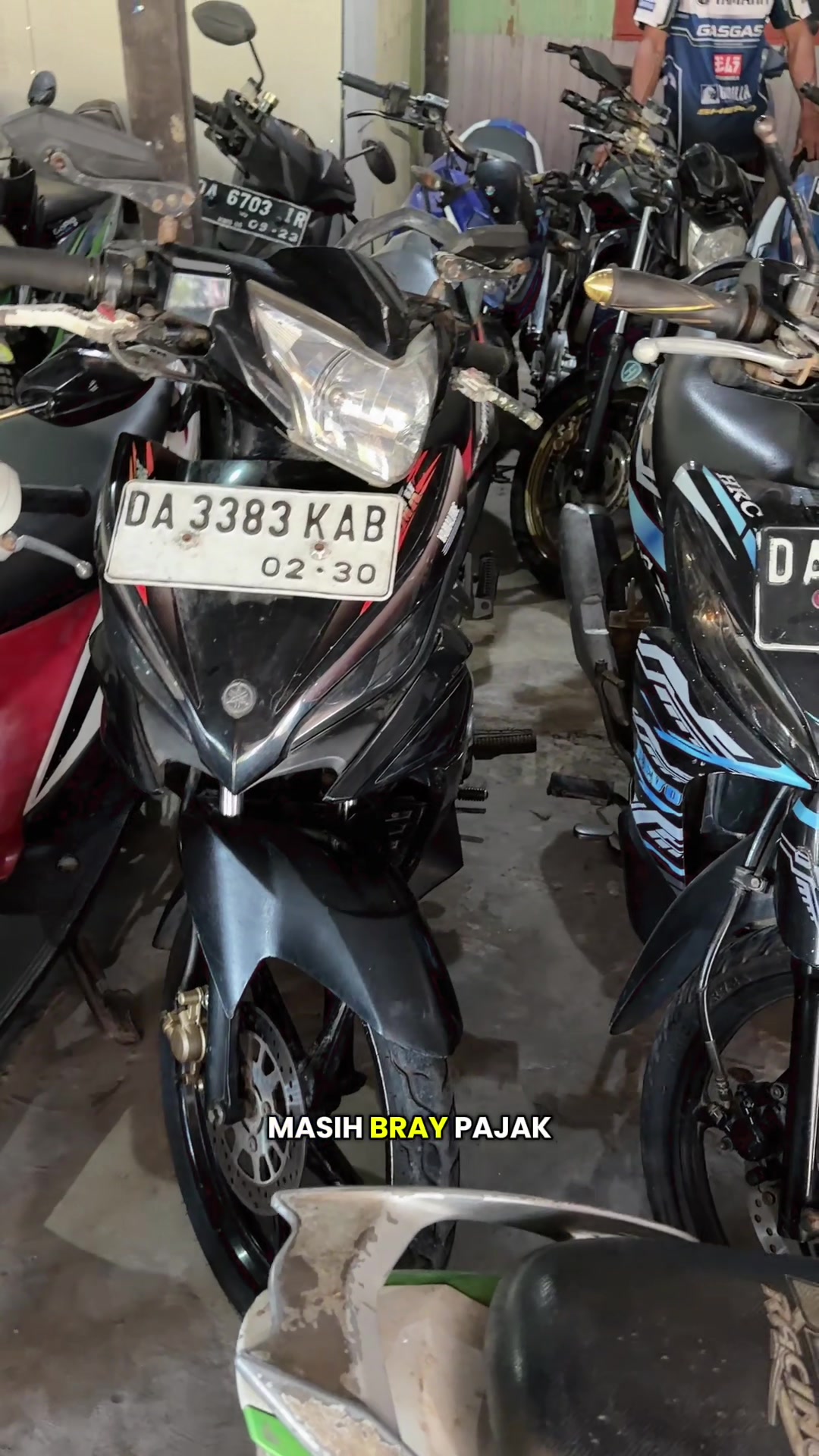 @pengepulmotortim