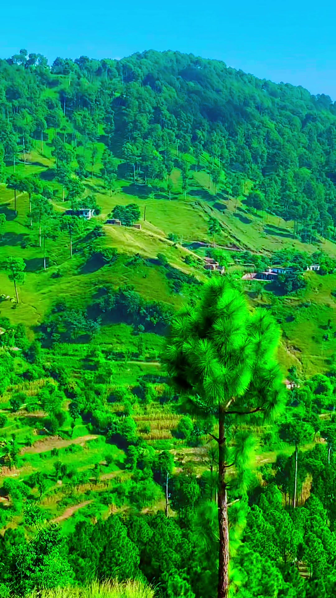 @💫MUZAMMIL 💫KASHMIRI🌟💫BK🥰