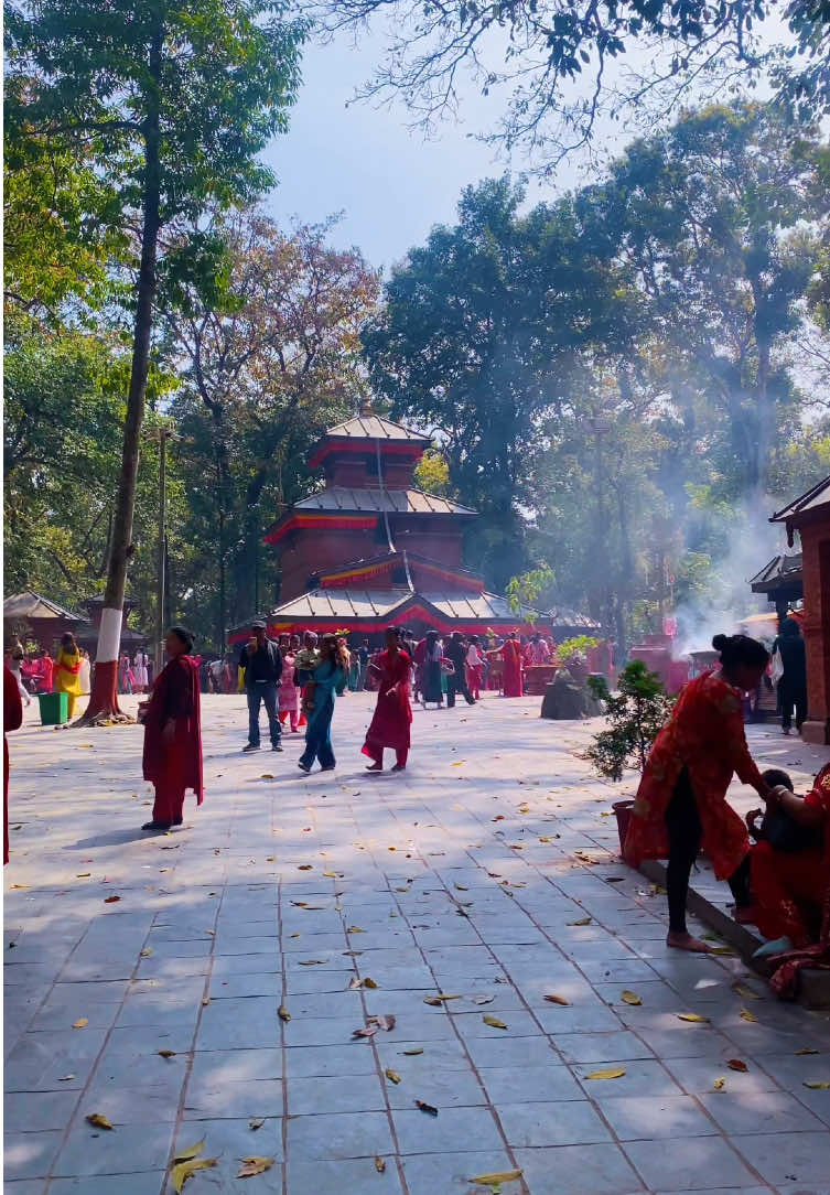 @ganeshexplore