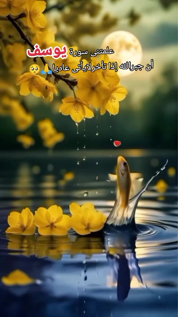 @⚔️👻♥️👑꧁حٍيَاة꧂👑♥️👻⚔️