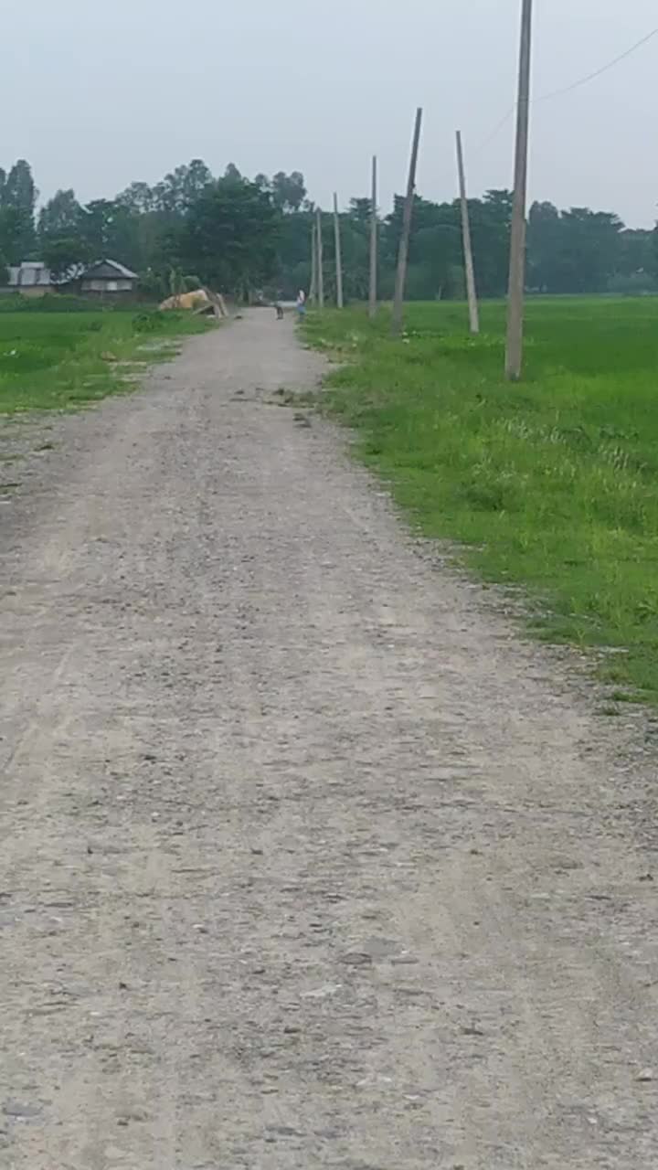 @dasdinesh76