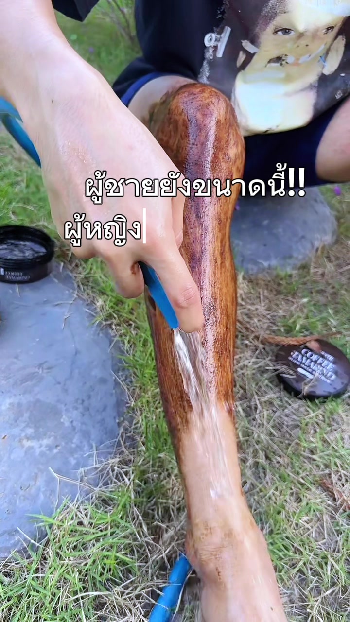 @ต้นกล้า1122
