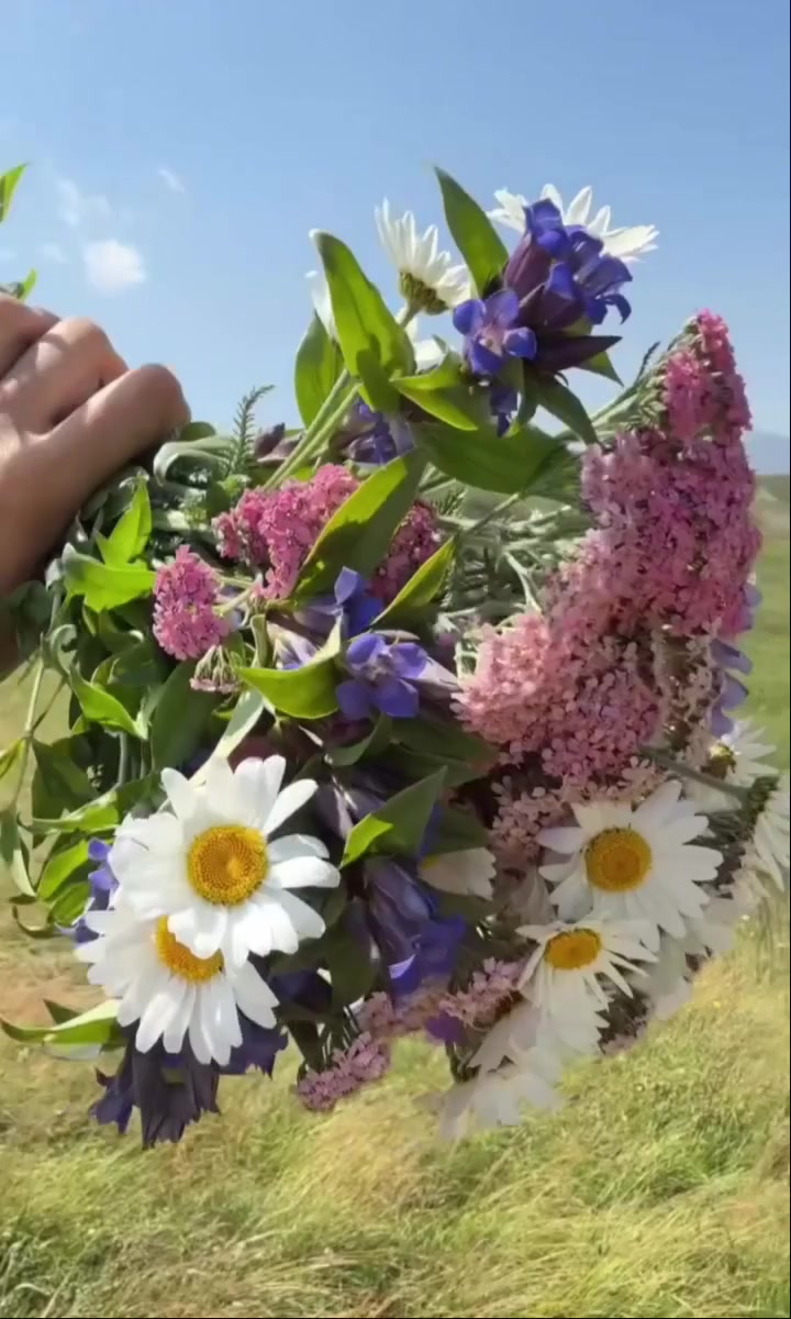 @🇰🇿🌺🌸Нᴀᴛᴀᴧья🌸Kz.16_ukg👋🤝
