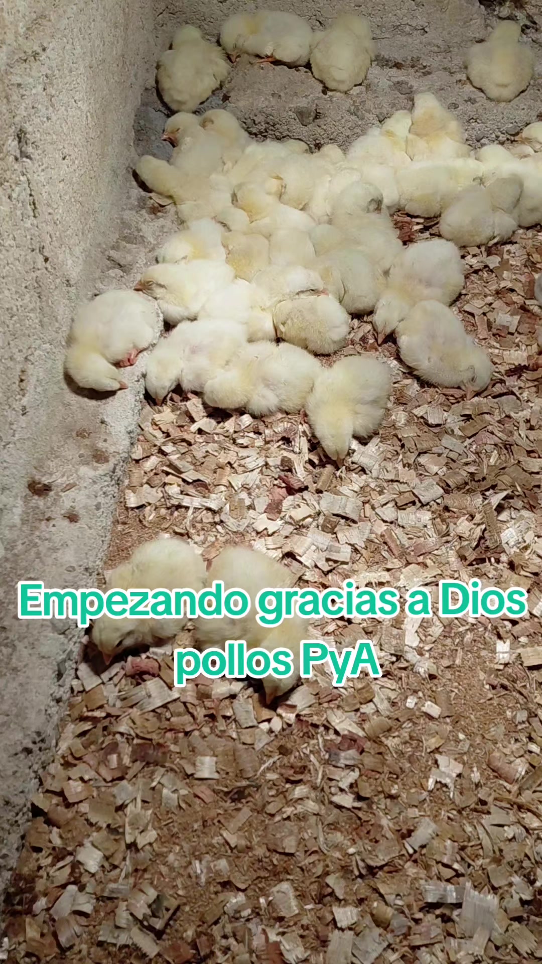 @Pᴀᴏʟᴀ⁰&sup3;