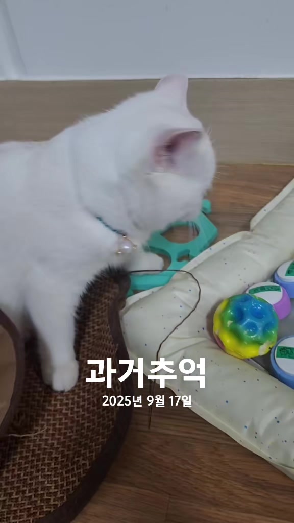 @박씨 거실