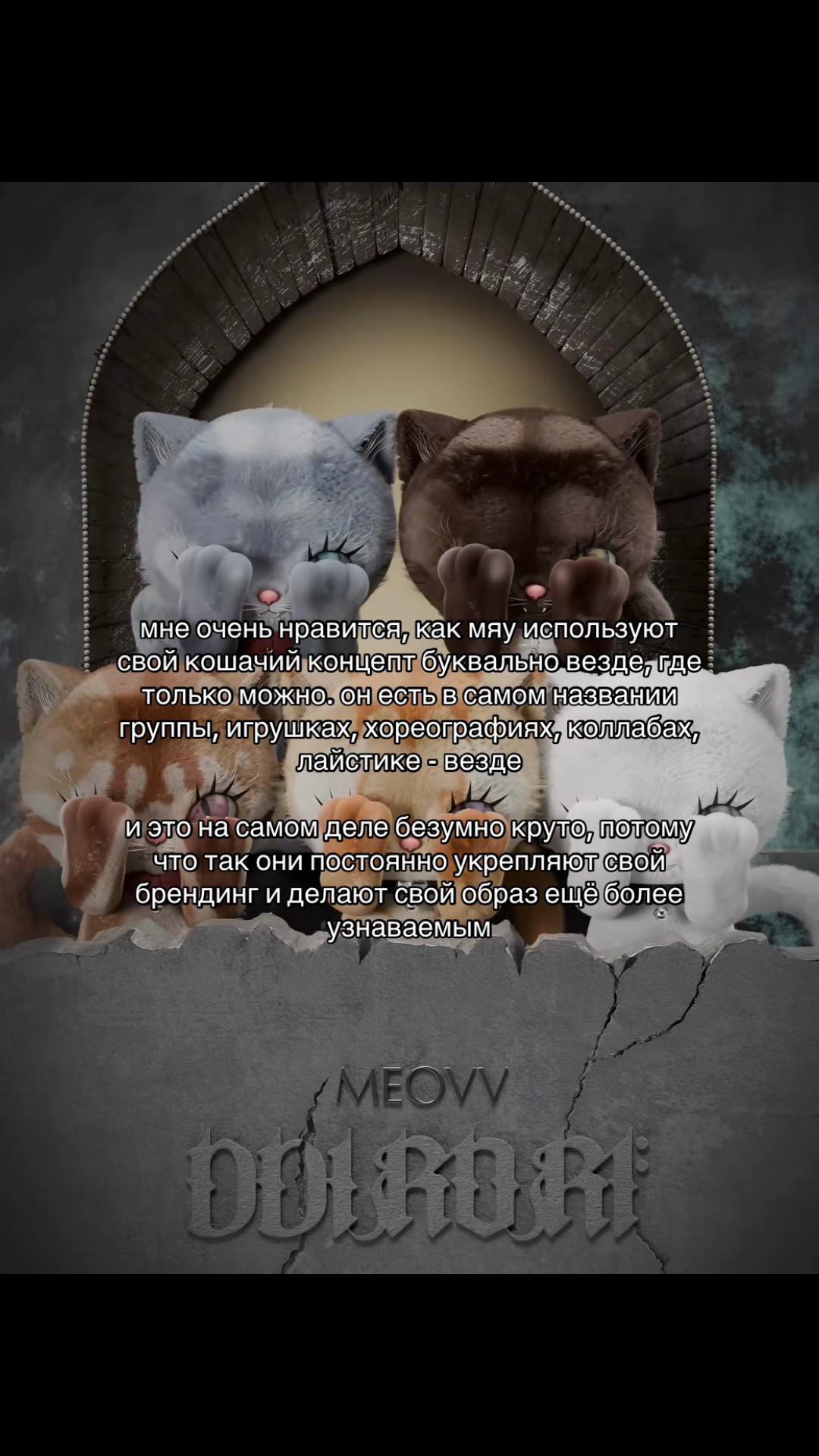 @🐈 баобао 🐈