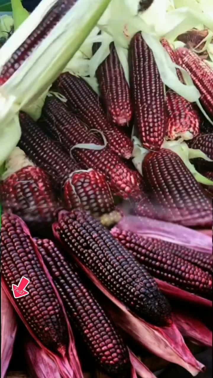 @tới đồ dùng