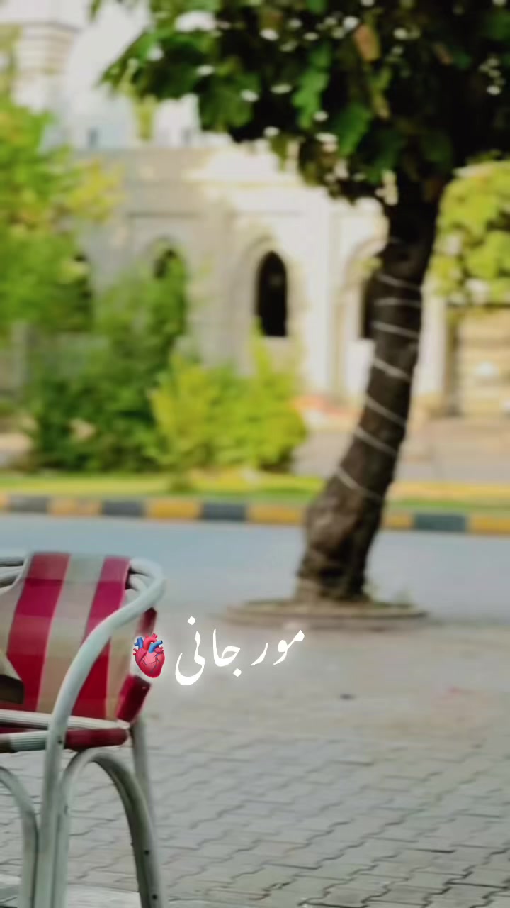 @𝐀𝐡𝐦𝐚𝐃 𝐁𝐚𝐂𝐡𝐚👊🏻
