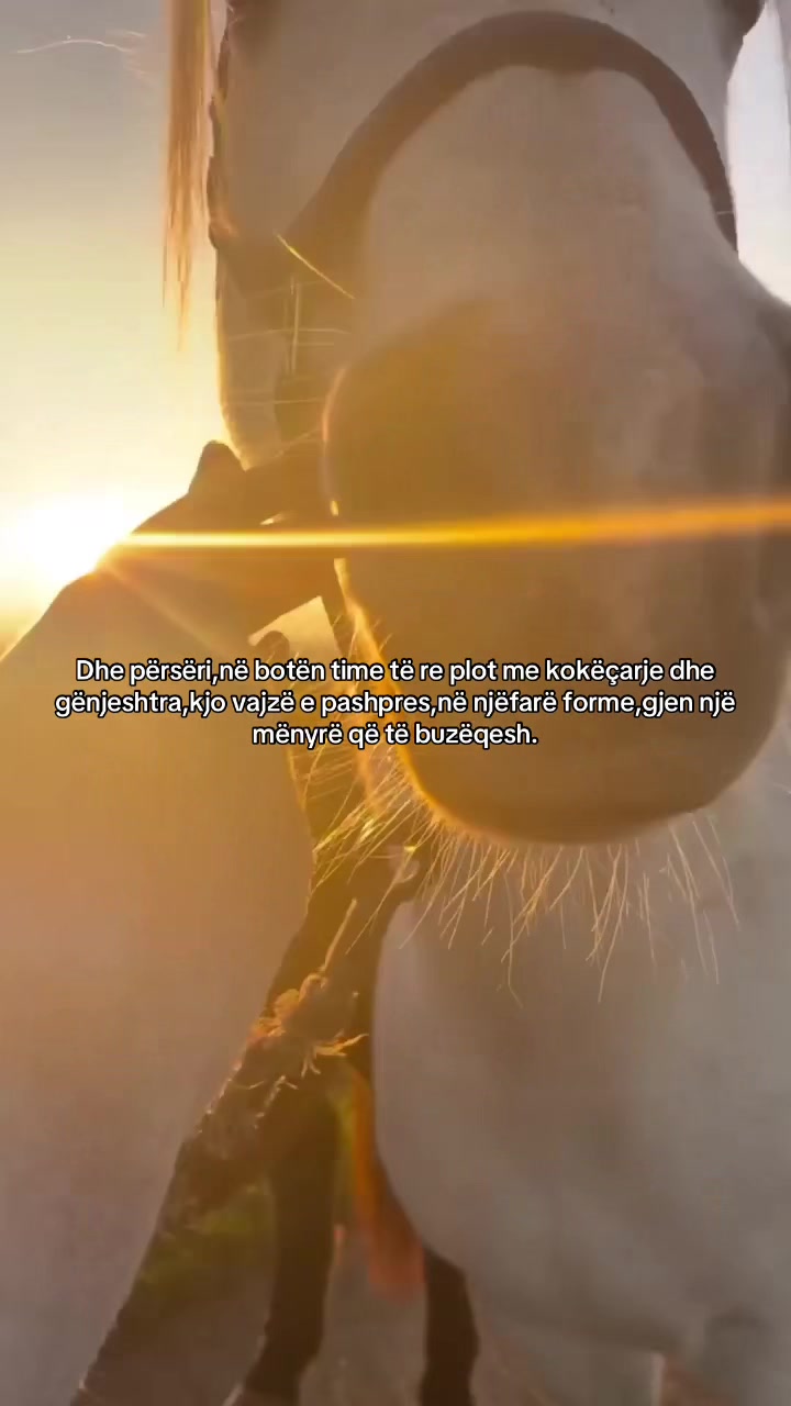 @📜