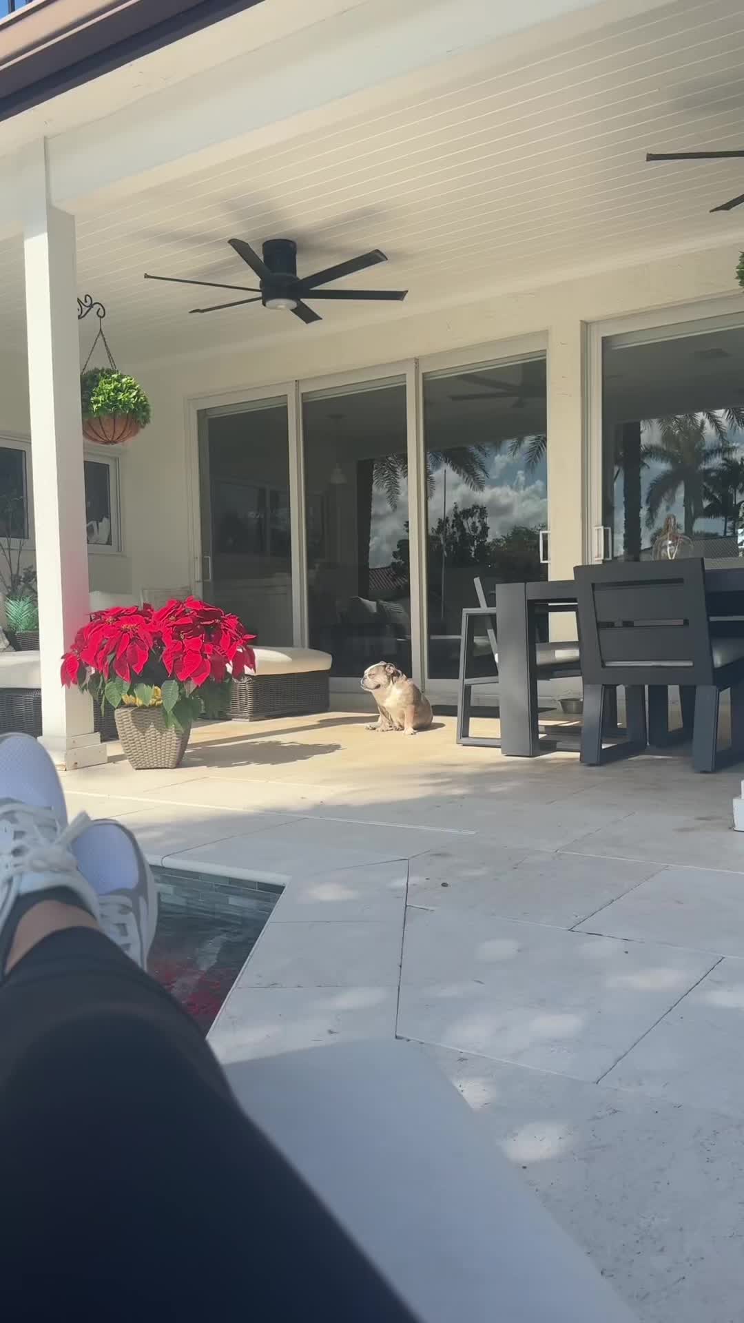 @😎