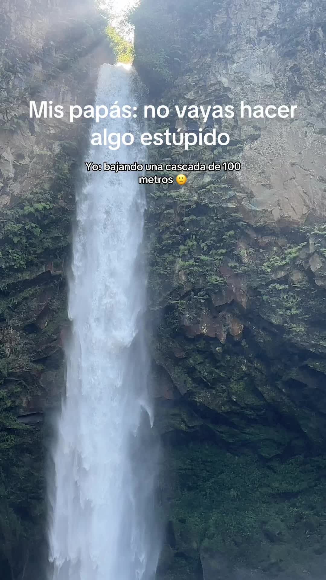 @fyael1206