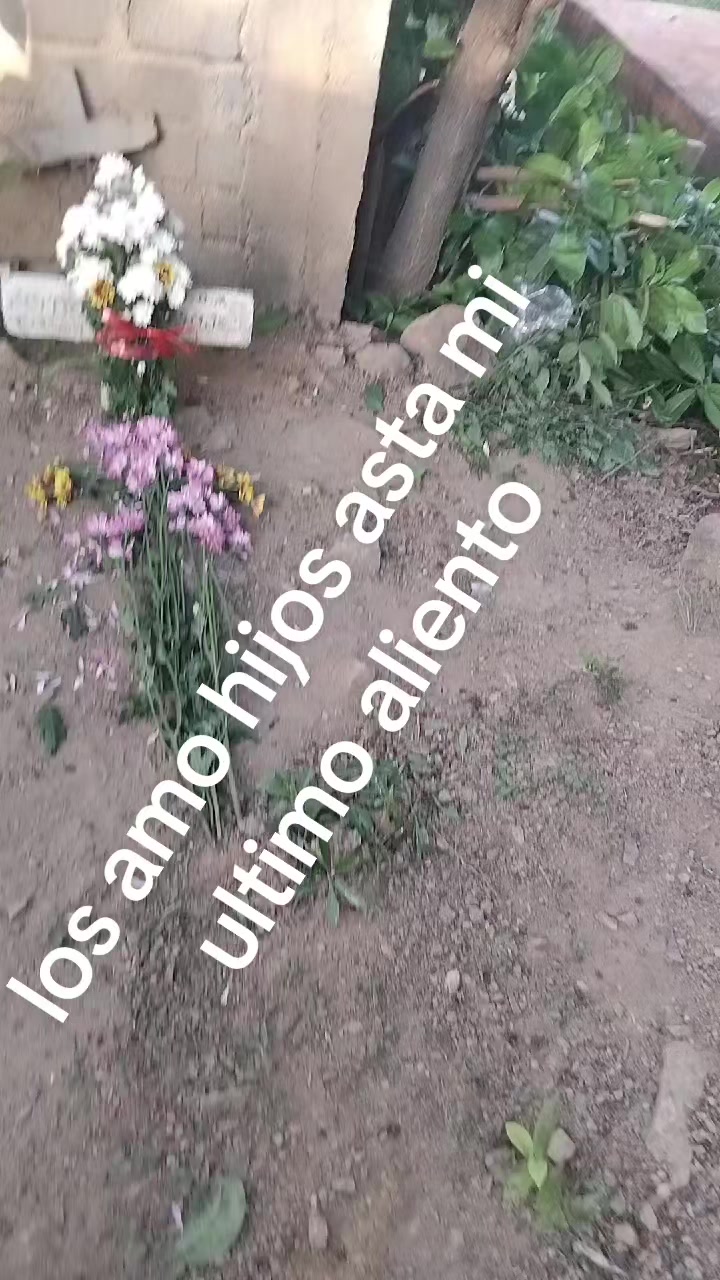 @Maria Castro Hernandez
