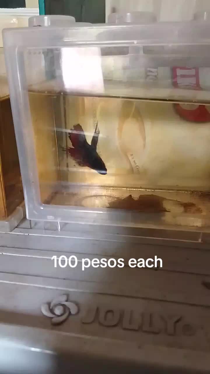 @H4rt